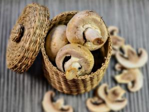 Выгодно ли выращивать грибы?