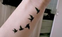 Татуировки стая птиц Татуировки для девушек на спине маленькие птицы