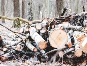Что собой представляет дровокол или бизнес на дровах Что необходимо для организации бизнеса с дровами